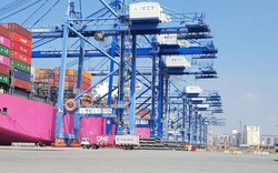 Logistics Cái Mép Hạ: Bệ phóng cảng trung chuyển quốc tế 