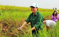 10 năm xây dựng NTM ở Quảng Trị - Kỳ 2: Muốn có nông thôn mới, phải tái cơ cấu nông nghiệp