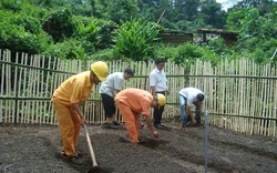 Điện lực Kbang - PC Gia Lai: Dân vận khéo gắn với xây dựng nông thôn mới
