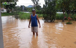 Quảng Trị: Nhiều nhà dân bị ngập nặng do mưa lớn