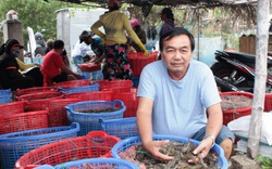 Nuôi tôm thẻ chân trắng, lão nông thu lãi 9 tỷ đồng mỗi năm