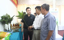 Việt Nam hội nhập, năng lực cán bộ Hội Nông dân được nâng lên để đồng hành cùng hội viên