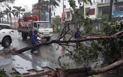 Cơn bão số 12: Mưa lớn gây ngập lụt, cây ngã đổ, hàng loạt địa phương mất điện