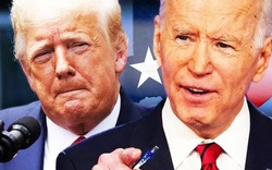 
Hậu bầu cử Mỹ: Trump kích hoạt hành động pháp lý mới, Biden phản ứng "rắn"