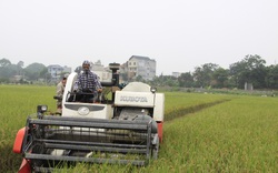 Nông nghiệp - trụ đỡ qua gian khó