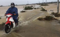 Quảng Nam: Mưa kéo dài, cảnh báo lũ lớn 