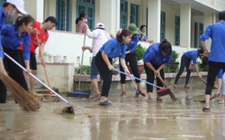 Ứng phó với bão số 13: Không còn tàu cá Bình Định nằm trong vùng nguy hiểm