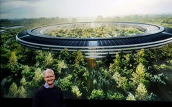 Choáng ngợp trụ sở làm việc của Apple, giá 5 tỷ đô, phủ màu xanh mướt