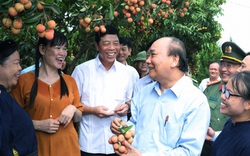 Thủ tướng Nguyễn Xuân Phúc: Nông nghiệp luôn là "mỏ vàng"