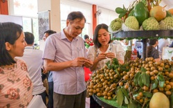 Bộ NNPTNT tổ chức Hội nghị triển khai Chỉ thị về an toàn thực phẩm: Tăng cường quản lý Nhà nước về ATTP