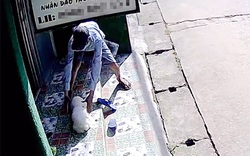 Camera ghi hình kẻ trộm bắt chó cảnh giá 10 triệu ở Thủ Đức
