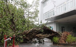 Hiện tượng La Nina tiếp tục duy trì, bão và không khí lạnh sẽ diễn biến thế nào?