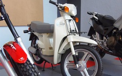 Khám phá 7 dòng Honda SH được yêu thích ở Việt Nam