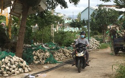 Khánh Hòa: Dân xóm núi sống trong thấp thỏm, lo âu
