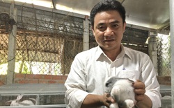 Đà Nẵng: Kỹ sư 8X bỏ phố lên núi nuôi thỏ, trồng nấm vươn lên làm giàu