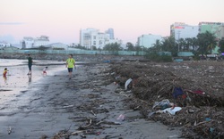 Ảnh: Bãi biển Đà Nẵng ngập ngụa trong rác sau bão số 13