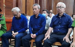 Đang thụ lý án chung thân, cựu CEO Trần Phương Bình lại sắp ra tòa đợt thứ 3