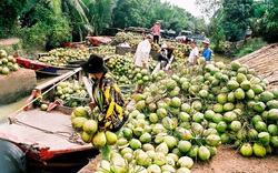 Quảng bá du lịch Bến Tre – Trà Vinh tại Hà Nội