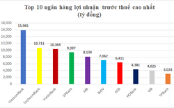 Bất ngờ với tăng trưởng của SeABank, lợi nhuận Vietcombank gấp 550 lần ngân hàng chốt bảng