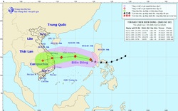 Bão Goni cách quần đảo Hoàng Sa 820km, trở thành cơn bão số 10, gió giật cấp 12