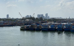 Đà Nẵng: Đường Việt Corp trúng liên tiếp 2 gói thầu xây lắp ở cảng cá Thọ Quang