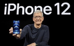 Apple phát hành iOS 14.2.1 để sửa lỗi trên iPhone 12