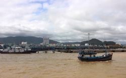 Vì sao 2 tàu cá tỉnh Bình Định bị xóa số đăng ký?