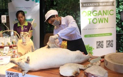 Chợ phiên organic tại Sài Gòn: Mang heo rừng hữu cơ xẻ thịt bán tại chỗ 