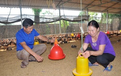 Chuyên gia “mách nước” giúp nuôi gia cầm thành công