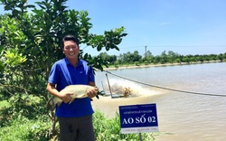 Đầu tư 11 mẫu đất nuôi cá VietGAP, anh nông dân Hà Nội thu nhập hơn 3 tỷ đồng/năm