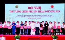 Xây dựng, phát triển nguồn dữ liệu thông tin lớn về nông nghiệp, nông dân, nông thôn trên báo điện tử Dân Việt