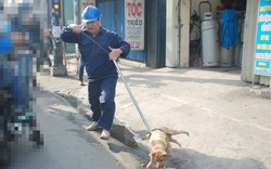 Đứng trước nguy cơ mất việc, 154 nhân viên thú y Hà Nội kêu cứu Bí thư Thành ủy Vương Đình Huệ