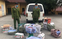 Lạng Sơn: Bắt giữ hơn 300kg quả hồng chế biến nhập lậu