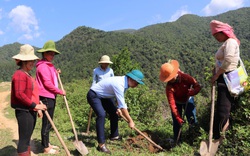 18 chủ trương giúp người dân nơi này thoát nghèo hiệu quả