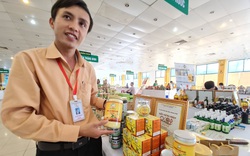 Quảng Nam: Đưa nông sản, đặc sản của nông dân có gắn sao bán ra thị trường toàn quốc
