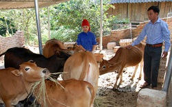 Khơi dậy tinh thần vươn lên thoát nghèo: Huy động nguồn lực để giảm nghèo