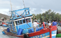 Quảng Ngãi: Tàu cá cùng 3 ngư dân bị sóng biển đánh chìm trong đêm