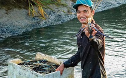 Cà Mau: Vùng đất nông dân đổi đời nhờ nuôi tôm càng xanh to bự trong ruộng lúa đẹp như tranh