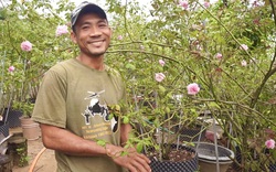 Quảng Nam: "Cãi lại cả làng”, nông dân U40 bất ngờ lãi hàng trăm triệu mỗi năm nhờ chung thủy với loài hoa "nữ hoàng"
