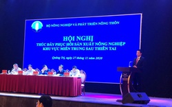 Hội nghị thúc đẩy phục hồi sản xuất nông nghiệp khu vực miền Trung sau thiên tai