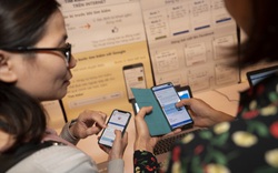 Google.org vào cuộc, giúp doanh nghiệp vi mô Việt Nam do phụ nữ làm chủ tiếp cận công nghệ số 