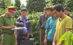Đắk Lắk: Bắt đối tượng chặt 30 cây sầu riêng sau gần 10 ngày truy tìm