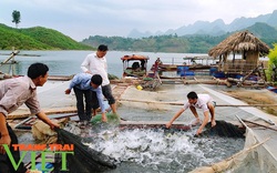 Nuôi cá nhốt lồng, nông dân Quỳnh Nhai khấm khá