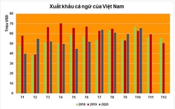 Xuất khẩu cá ngừ tiếp tục khởi sắc