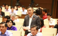 ĐBQH nhắc tới vợ chồng Công Vinh -Thủy Tiên khi phát biểu trước Quốc hội