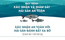 Hải sản được kiểm tra bảo đảm an toàn ra sao?