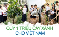 Quỹ 1 triệu cây xanh cho Việt Nam:
9 năm vì một hành trình gieo màu xanh cho cuộc sống
