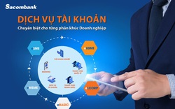 Dịch vụ tài khoản trọn gói theo quy mô hoạt động của doanh nghiệp