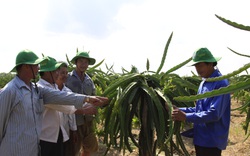 Góp ý văn kiện Đại hội Đảng: Phải coi nông nghiệp là một nghề, nông dân được đào tạo, đóng bảo hiểm