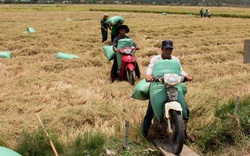 Lâm Đồng: Hàng trăm hộ đăng ký thoát nghèo nhờ chính sách hỗ trợ đúng, trúng
